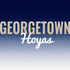 Georgetown University Hoyas PS5 Slim Digital Edition Bundle Skin