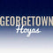 Georgetown University Hoyas PS4 Slim Bundle Skin