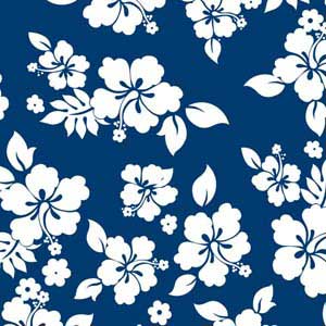 Blue and White Nintendo GameCube Controller Skin