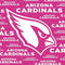 NFL Arizona Cardinals Pink Blast Surface Pro 6 Skin
