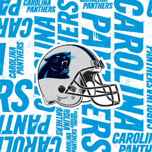 NFL Carolina Panthers - Blast Fire TV Cube Skin