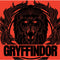 Wizarding Worlds Harry Potter Gryffindor Illustration MacBook Air 13in (2020) Case plus Skin