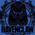 Wizarding Worlds Harry Potter Ravenclaw Illustration iPhone 14 Folio Case