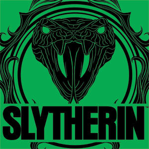 Wizarding Worlds Harry Potter Slytherin Illustration Xbox 360 Slim (2010) Skin