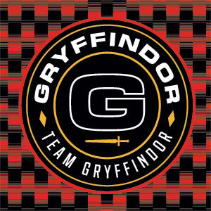 Wizarding Worlds Harry Potter Team Gryffindor Playstation 3 & PS3 Slim Skin