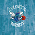 NBA Charlotte Hornets Hardwood Classics iPhone XS Clear Case