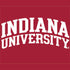 Indiana University Hoosiers Xbox Series X Bundle Skin