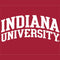 Indiana University Hoosiers Xbox 360 Slim (2010) Skin