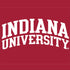 Indiana University Hoosiers iPhone XS Clear Case
