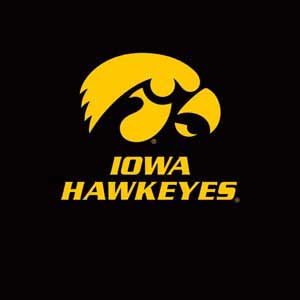 University of Iowa Hawkeyes Yoga 910 2-in-1 14in Touch-Screen Skin
