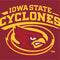 Iowa State University Cyclones Wii (Includes 1 Controller) Skin
