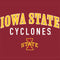 Iowa State University Collegiate Text Xbox One S All-Digital Edition Bundle Skin
