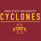 Iowa State University Athletic Text Playstation 3 & PS3 Skin