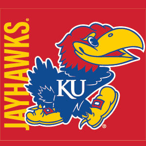 University of Kansas Jayhawks KU Xbox 360 (Includes HDD) Skin