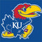 University of Kansas Jayhawks Mascot Outline PS5 Controller Skin