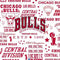NBA Chicago Bulls Historic Blast PS4/PC SCUF Impact Controller Skin