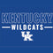 University of Kentucky Wildcats Wii (Includes 1 Controller) Skin