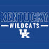 University of Kentucky Wildcats iPhone XS Clear Case