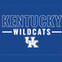 University of Kentucky Wildcats Xbox Series X Bundle Skin