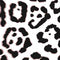 B&W Leopard Nintendo 2DS XL (2017) Skin