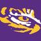 Louisiana State University - LSU Tiger Eye Logo AWS DeepRacer Skin