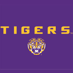 Louisiana State University - LSU Tigers Purple Xbox One Controller Skin