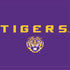 Louisiana State University - LSU Tigers Purple Xbox Series X Bundle Skin