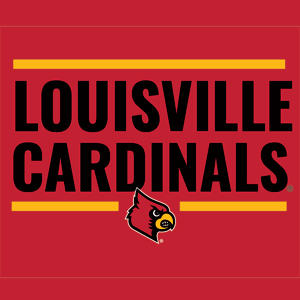 University of Louisville Cardinals Striped Xbox 360 Slim (2010) Skin