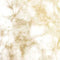 Gold and White Marble Wii (Includes 1 Controller) Skin