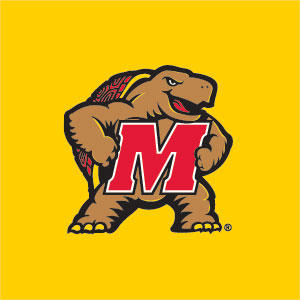 University of Maryland Terps Yellow Xbox 360 Slim (2010) Skin