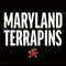 University of Maryland Terrapins Athletic Marks Xbox 360 (Includes HDD) Skin