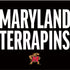 University of Maryland Terrapins Athletic Marks iPhone XS Clear Case
