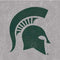 Michigan State University Grey Spartans Logo Studio Wireless Skin