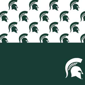 Michigan State University Spartans MSU Split Xbox 360 Slim (2010) Skin