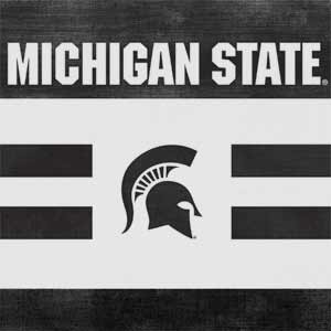 Michigan State University Black and White Stripes PS5 Console Skin