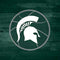 Michigan State University Basketball Courtside Xbox Adaptive Controller Skin