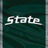 Michigan State University Jersey Grey iPhone XS Clear Case