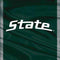 Michigan State University Jersey Grey Steam Deck Handheld Gaming Computer Skin