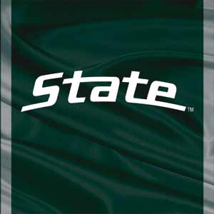 Michigan State University Jersey Grey Fire TV Cube Skin