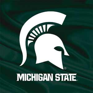 Michigan State University Away Grey Jersey Xbox 360 Slim (2010) Skin