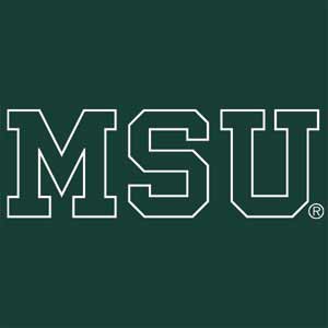 Michigan State University MSU Letters Xbox Adaptive Controller Skin