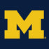 University of Michigan M Logo Xbox Series X Bundle Skin
