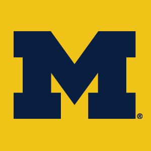 University of Michigan M Logo Yellow Xbox 360 Slim (2010) Skin