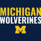 University of Michigan Wolverines M Xbox 360 Slim (2010) Skin