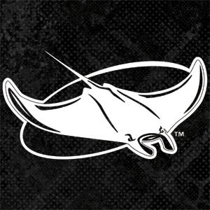 MLB Tampa Bay Rays Dark Wash Playstation 3 & PS3 Skin