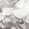 Marbleized Grey Studio Wireless Skin