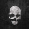 Silent Skull MacBook Air 15in (2023-2025) Case plus Skin