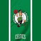 NBA Boston Celtics PlayStation Portal Remote Player Skin