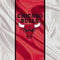 NBA Chicago Bulls Away Jersey Nintendo 2DS Skin