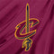 NBA Cleveland Cavaliers Jersey Wii (Includes 1 Controller) Skin